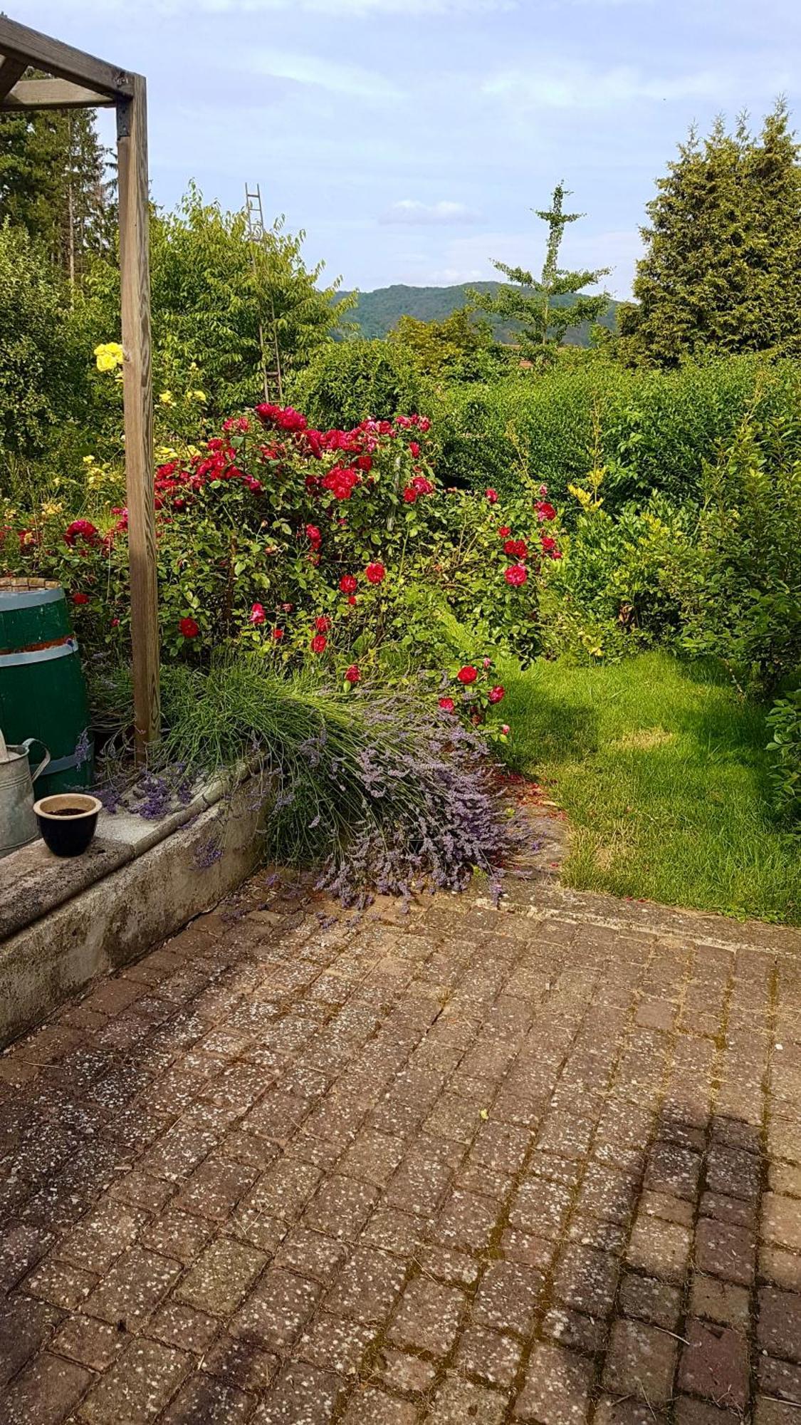 Ferienwohnung Kespergarten Witzenhausen Exterior foto